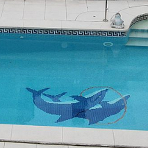 ZODIAC | Vortex 4WD - OV 5410 | WR000250_3